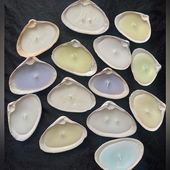 Real Sea Shell Candles - Picture 1 of 2